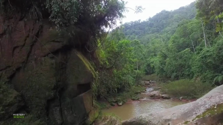 El enigmático rostro humano gigante tallado en una roca de la Amazonía