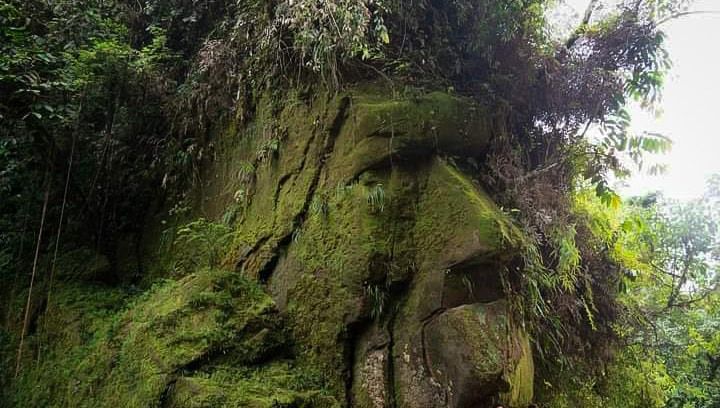 Rostro de Harakbut