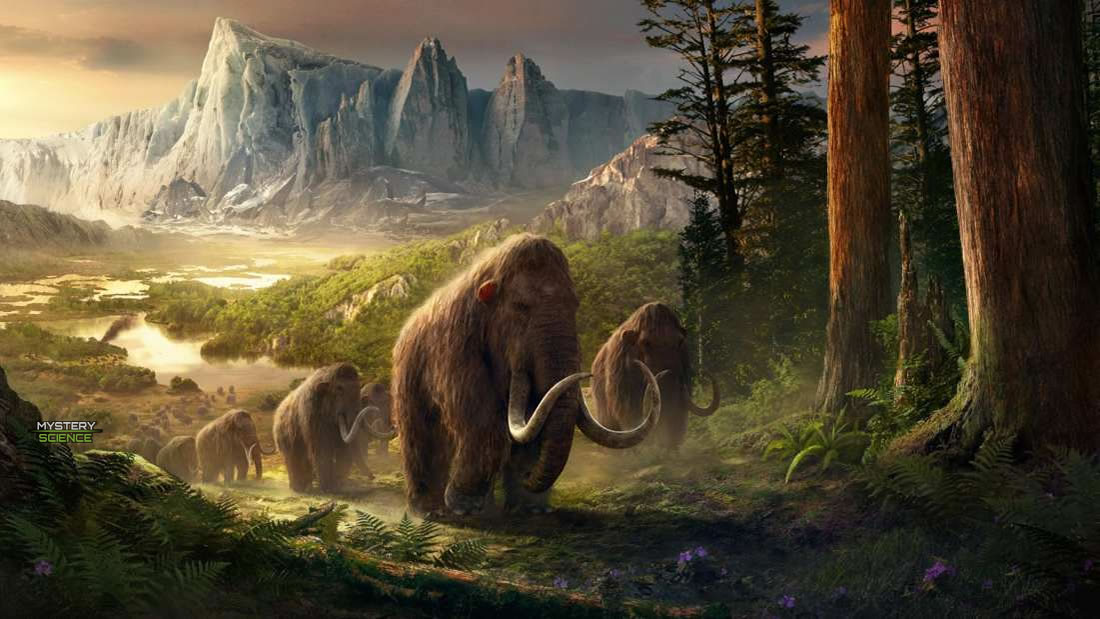 Científicos planean ‘revivir’ mamuts lanudos