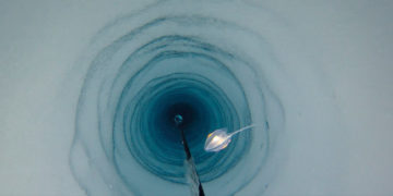 Encuentran misteriosas formas de vida debajo de la Antártida (VIDEO)
