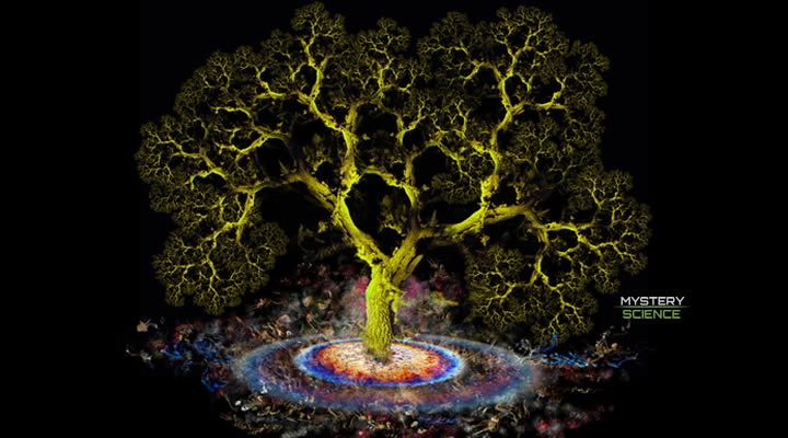 árbol de la vida espiritualidad