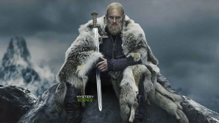 Bjorn Vikings