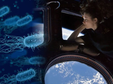 Hallan microbios desconocidos para la ciencia en la Estación Espacial Internacional