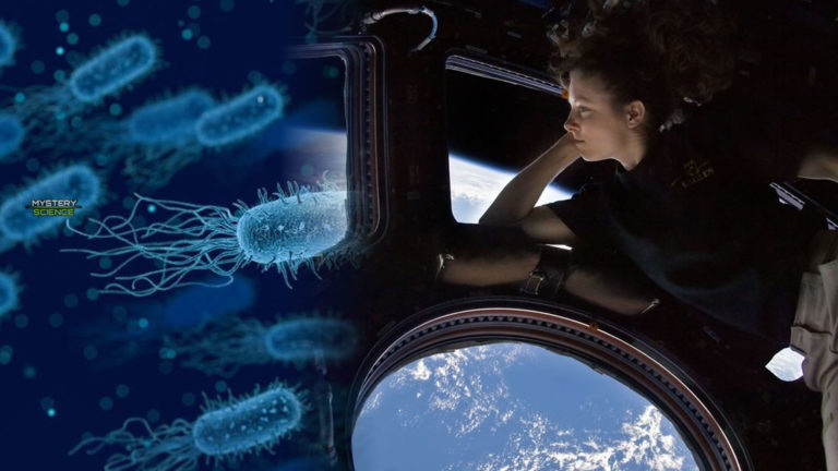 Hallan microbios desconocidos para la ciencia en la Estación Espacial Internacional