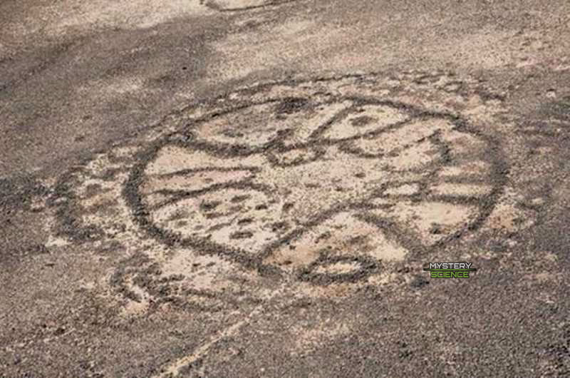 Fotografía aérea de algunos de los círculos misteriosos en el desierto de Jordania