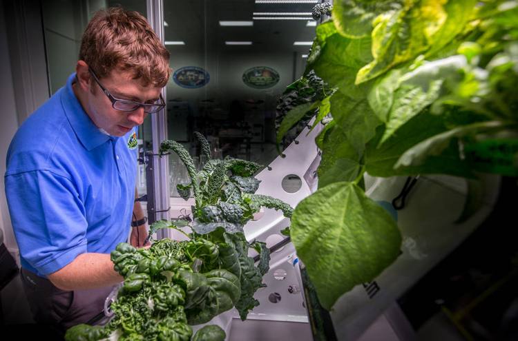 microbios por plantas en estación espacial