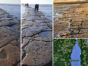 «Carretera» de piedra gigante resurge desde debajo del océano Pacífico