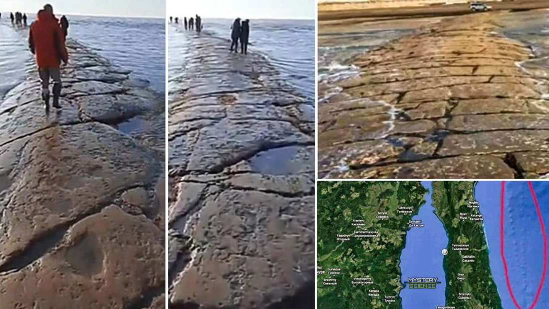 «Carretera» de piedra gigante resurge desde debajo del océano Pacífico