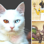 Mitología felina y su importancia en varias culturas antiguas