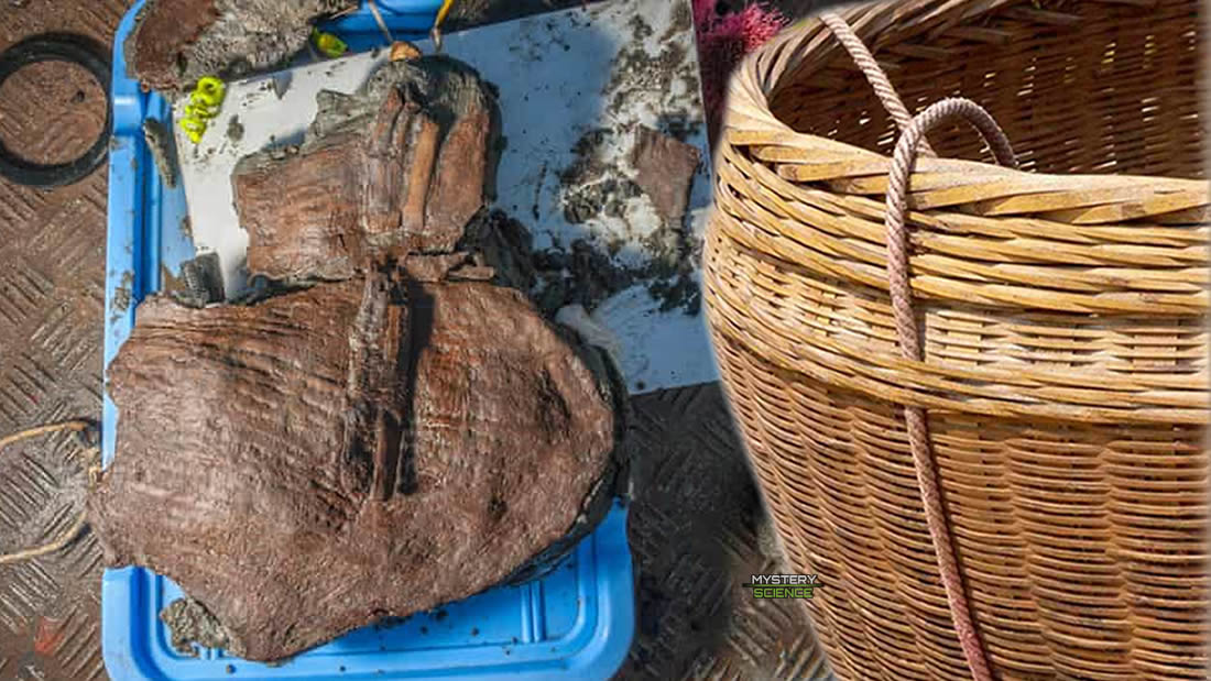 Hallan cestas de frutas de más de 2.200 años entre ruinas de una ciudad egipcia sumergida