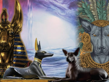 Anubis y Xólotl guardianes en la muerte y el más allá