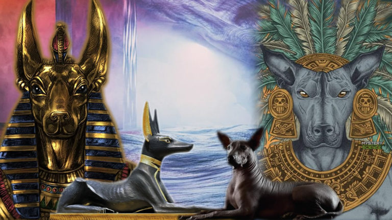 Anubis y Xólotl guardianes en la muerte y el más allá