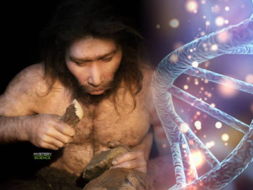 Los humanos tenemos ADN de un ancestro todavía no identificado