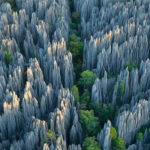 El asombroso bosque de Piedras de Madagascar