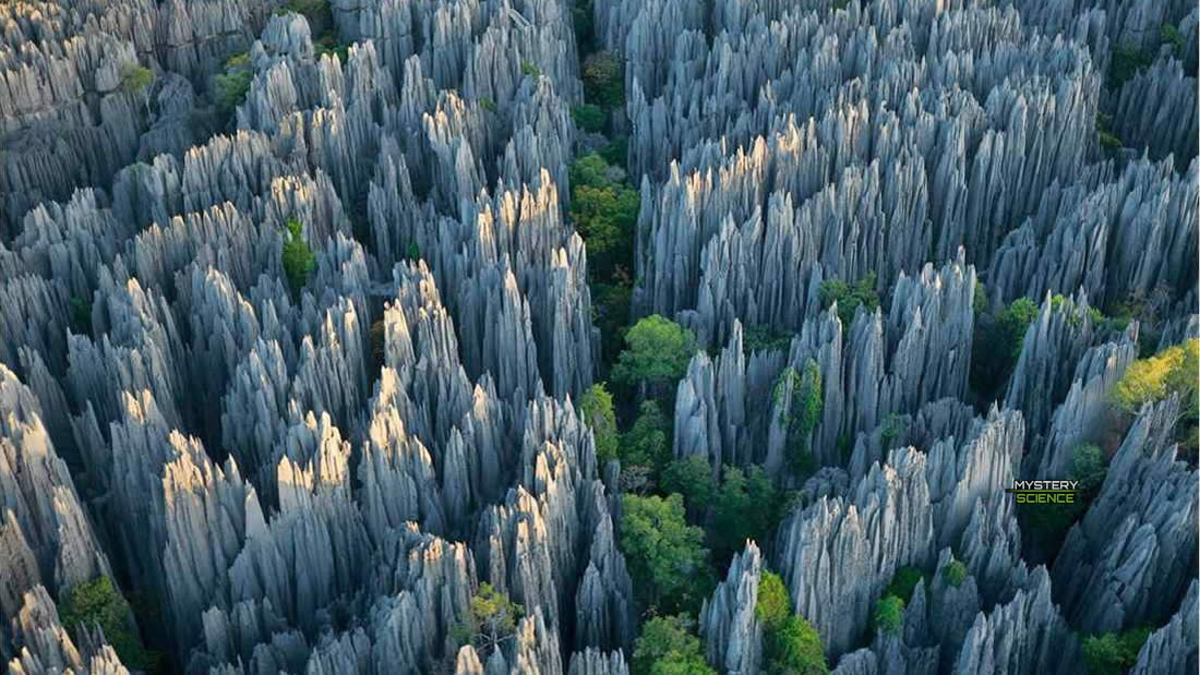 El asombroso bosque de Piedras de Madagascar