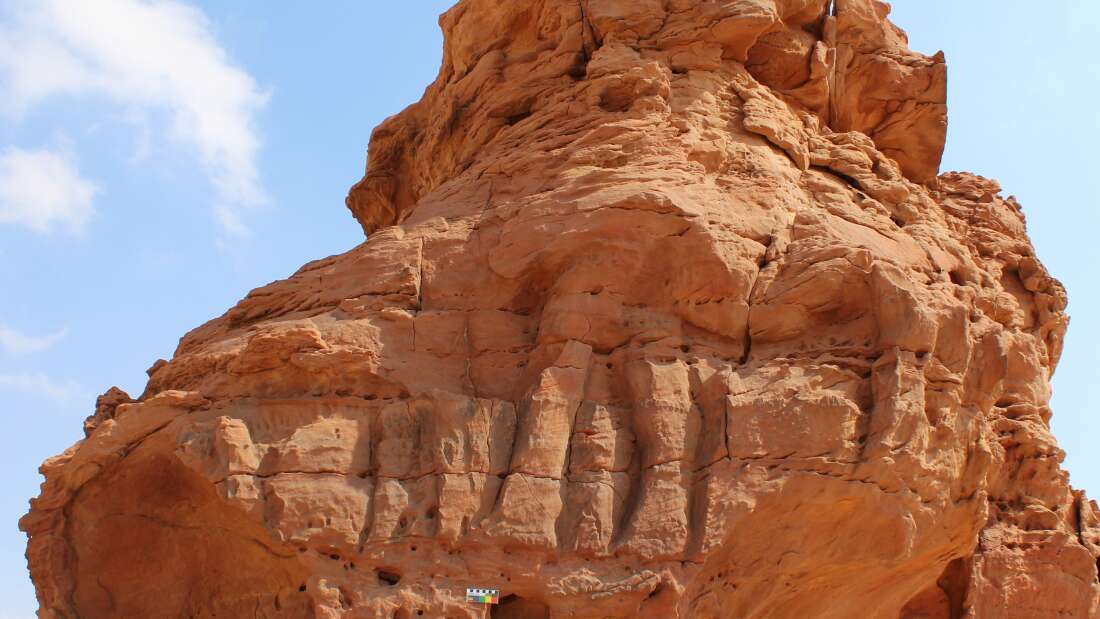 Enormes relieves de camellos de 8.000 años de antigüedad fueron hallados en el desierto