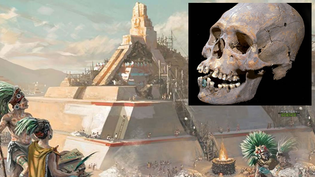 Antiguo cráneo elongado con incrustaciones de pirita en los dientes hallado en Teotihuacán