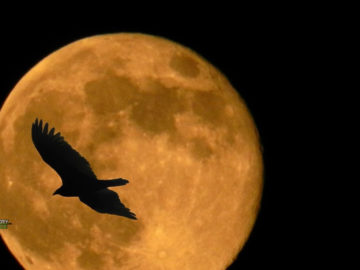 Eclipse lunar más largo del siglo podrá verse esta semana