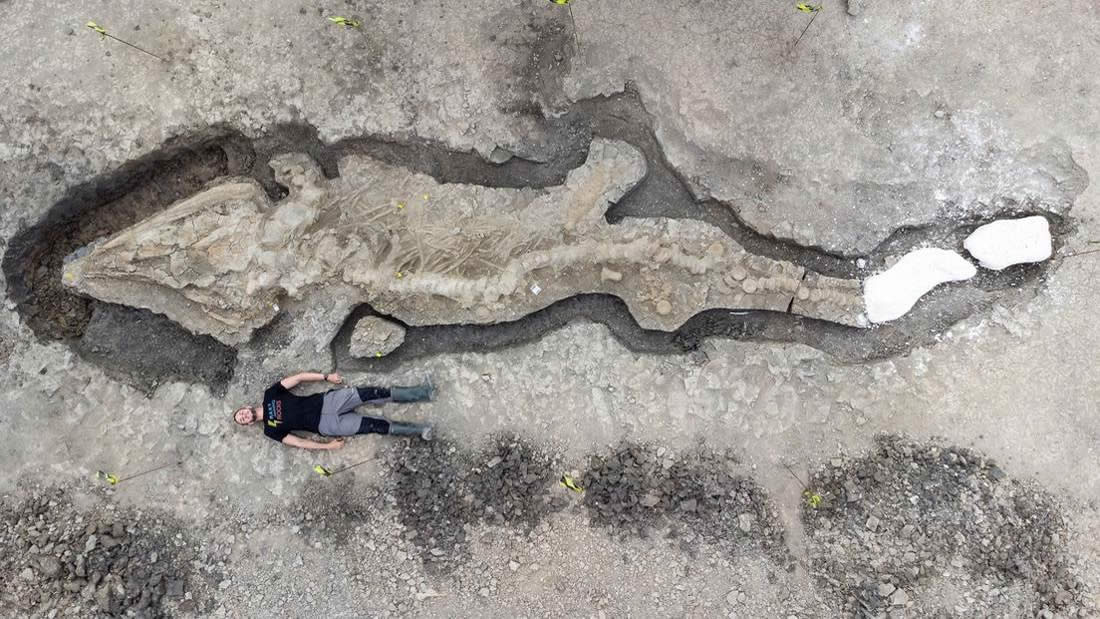 Hallan el fósil de un dragón marino gigante