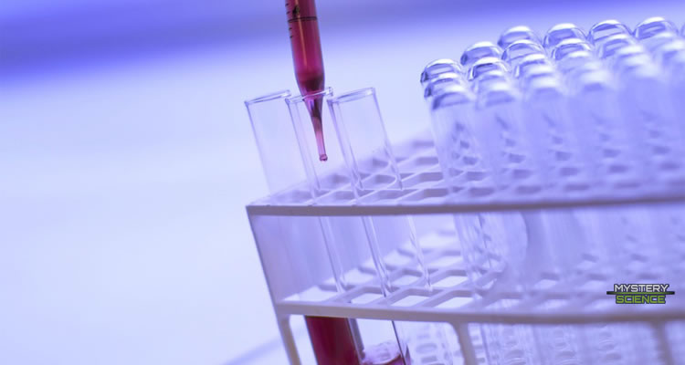 La comunidad científica está cada vez más preocupada por el acceso biológico de la IA.