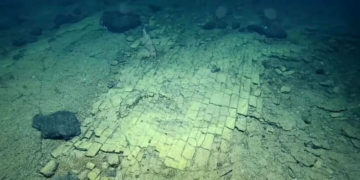 Hallan un camino de ladrillos amarillos en las profundidades del Océano Pacífico