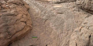 Los petroglifos de animales más grandes del mundo creados hace 10.000 años