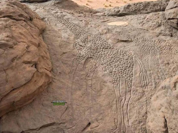Los petroglifos de animales más grandes del mundo creados hace 10.000 años