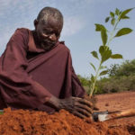 Hombre detuvo el avance del desierto usando técnicas antiguas de agricultura