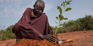 Hombre detuvo el avance del desierto usando técnicas antiguas de agricultura