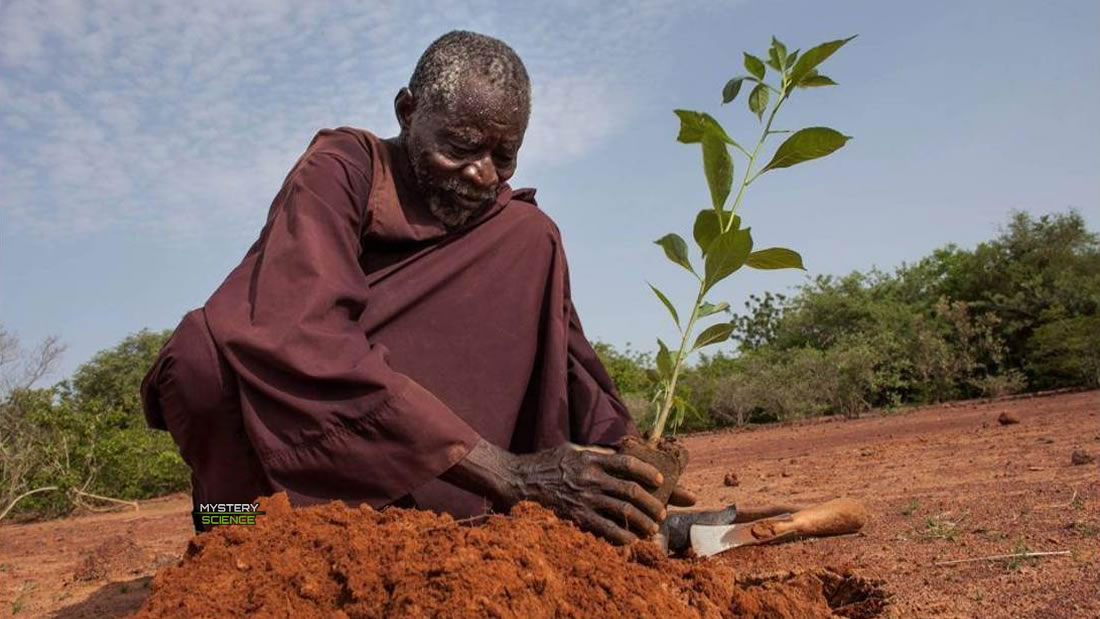 Hombre detuvo el avance del desierto usando técnicas antiguas de agricultura