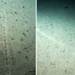 Hallan extraños agujeros en el fondo del Atlántico que la ciencia no puede explicar