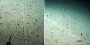 Hallan extraños agujeros en el fondo del Atlántico que la ciencia no puede explicar