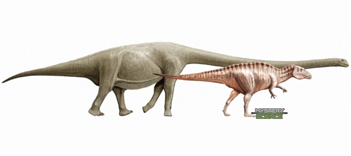 Imagen ilustrativa de un Sauroposeidon y un Acrocanthosaurus
