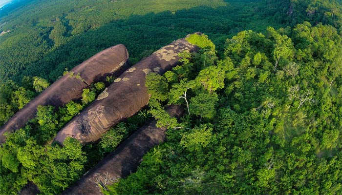 Vista aérea de las rocas que parecen una familia de ballenas
