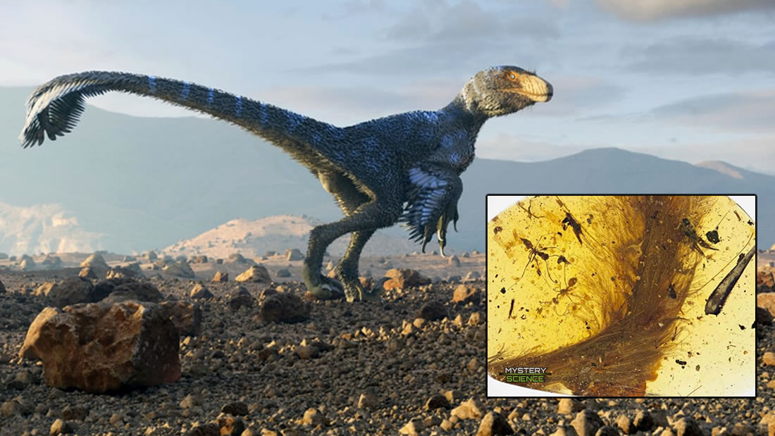 Encuentran una cola emplumada de dinosaurio preservada en ámbar