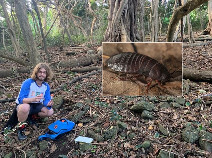Maxim Adams bajo el árbol de higuera donde se hizo el descubrimiento de la "extinta" cucaracha