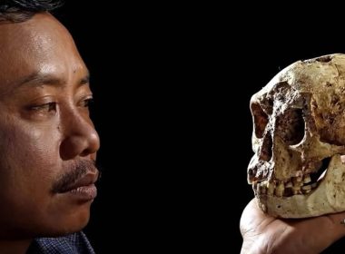 Cráneo de 6.000 años de antigüedad confirma antigua leyenda sobre ‘pequeños’ humanoides