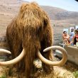 Planean traer de vuelta a la Tierra el mamut lanudo dentro de 4 años