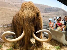 Planean traer de vuelta a la Tierra el mamut lanudo dentro de 4 años