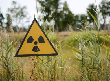 Plantas de Chernóbil modificaron sus genes para sobrevivir a la radiación
