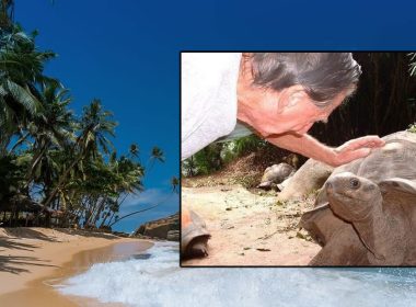 Rechazó ofertas millonarias por su isla y ahora es el parque nacional más pequeño del mundo