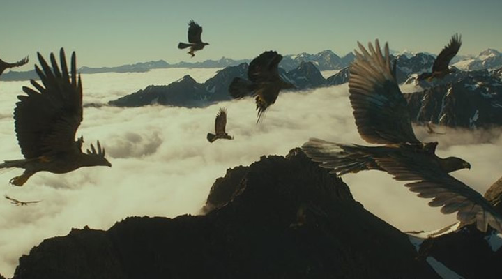 Poderosas águilas que antiguamente se elevaron sobre Australia comparten similitudes con las águilas gigantes ficticias de la épica fantasía de JRR Tolkien «El Señor de los Anillos»