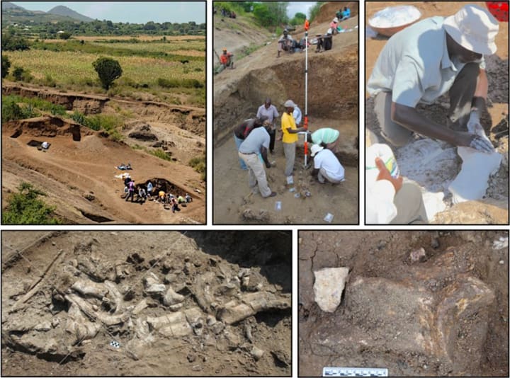 El hallazgo de las herramientas de casi 3 millones de años de antigüedad abre una incógnita histórica