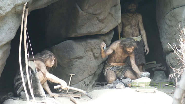 Homo Sapiens