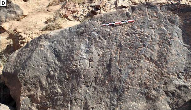 Roca grabada en Wadi az-Zilliyat, Arabia Saudita