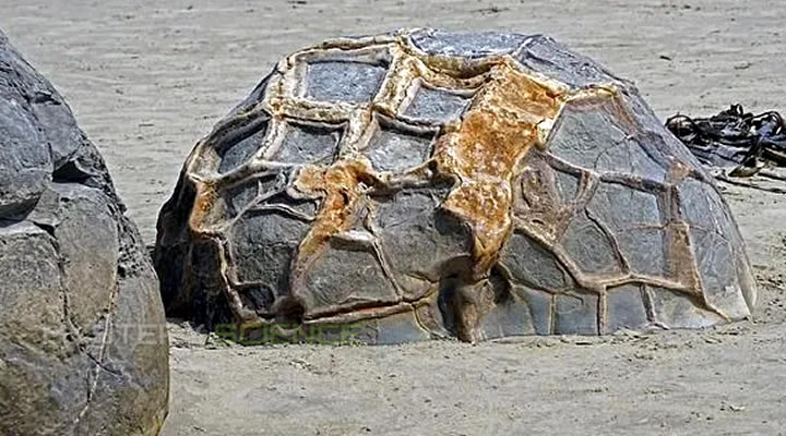 Debido a su extraña forma y tamaño antiguamente pensaban que las rocas esféricas de Moeraki eran huevos de dragón.