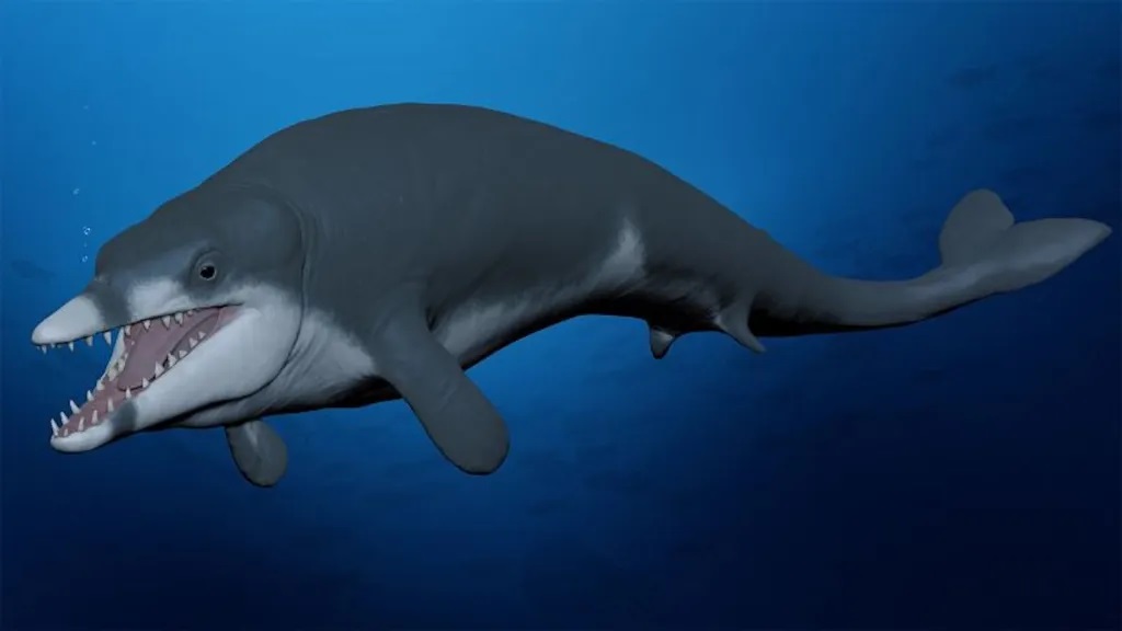 Reconstrucción del Tutcetus rayanensis, un miembro de la extinta familia de ballenas primitivas conocida como basilosauridae.