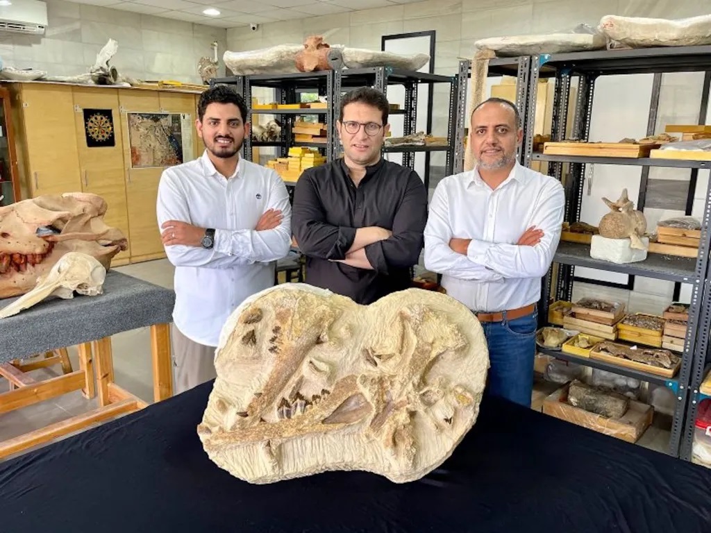 Los paleontólogos Abdullah Gohar, Mohamed Sameh y Hesham Sallam (de izquierda a derecha) con los restos fosilizados de T. rayanensis