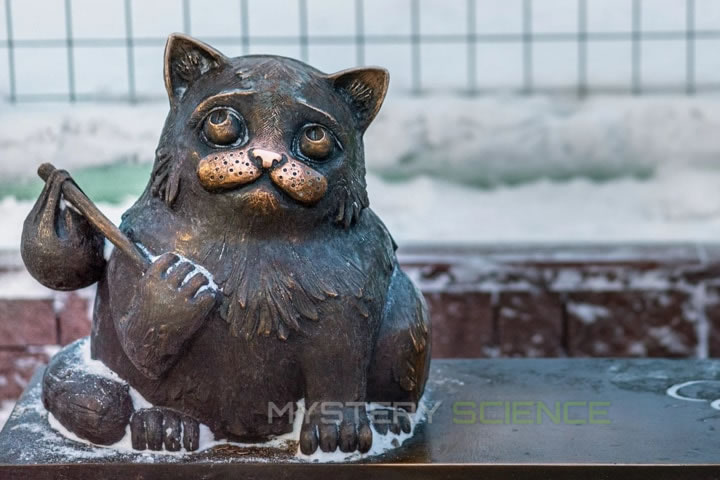 Según una leyenda local, si te sientas en el banco y susurras un deseo al oído del gato Semyon, se hará realidad.