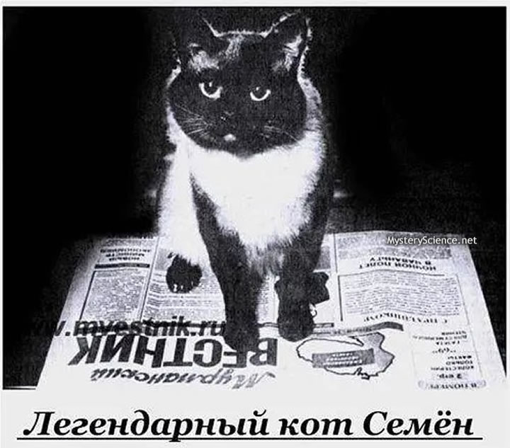 Semyon
